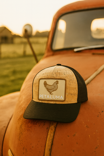 Petaluma Cork Trucker Hat, Brown