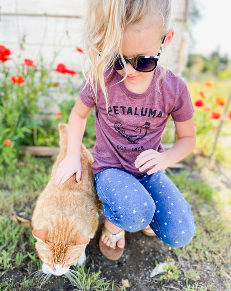 Maroon Kids Luma Vintage Petaluma Chicken Shirt
