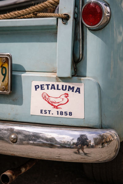 Luma Vintage Petaluma Sticker- 6" x 6"