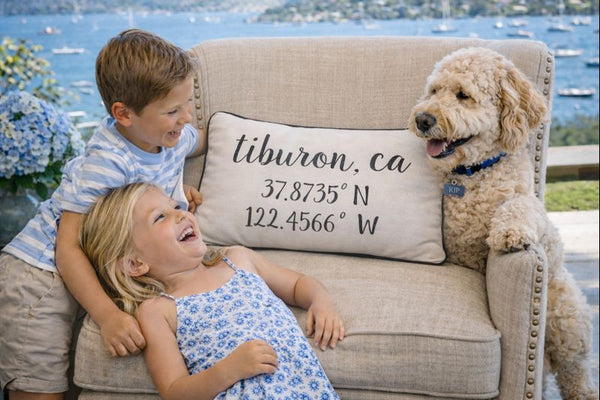 Tiburon Longitude Latitude Embroidered Lumbar Pillow Cover